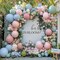 Pink Blue Green Balloon Garland Double Stuffed Dusty Light Green Baby Blue Blush Mauve Latex Pastel Balloon Arch Kit for Boho Baby Shower Gender Reveal Bear Birthday Floral Party Decoration